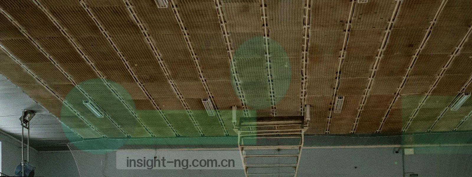 抽象数据网格背景，体现NG体育娱乐平台的数据驱动服务
